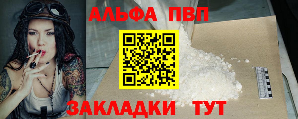 Альфа ПВП СК Ставрополь