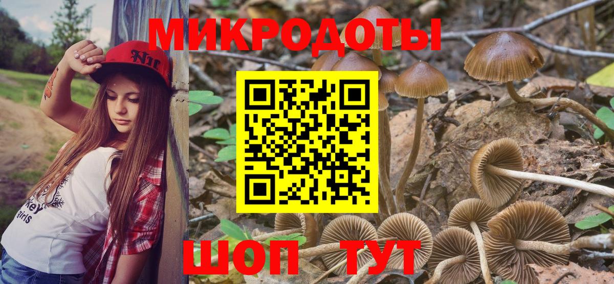 Галлюциногенные грибы Magic Shrooms Ставрополь
